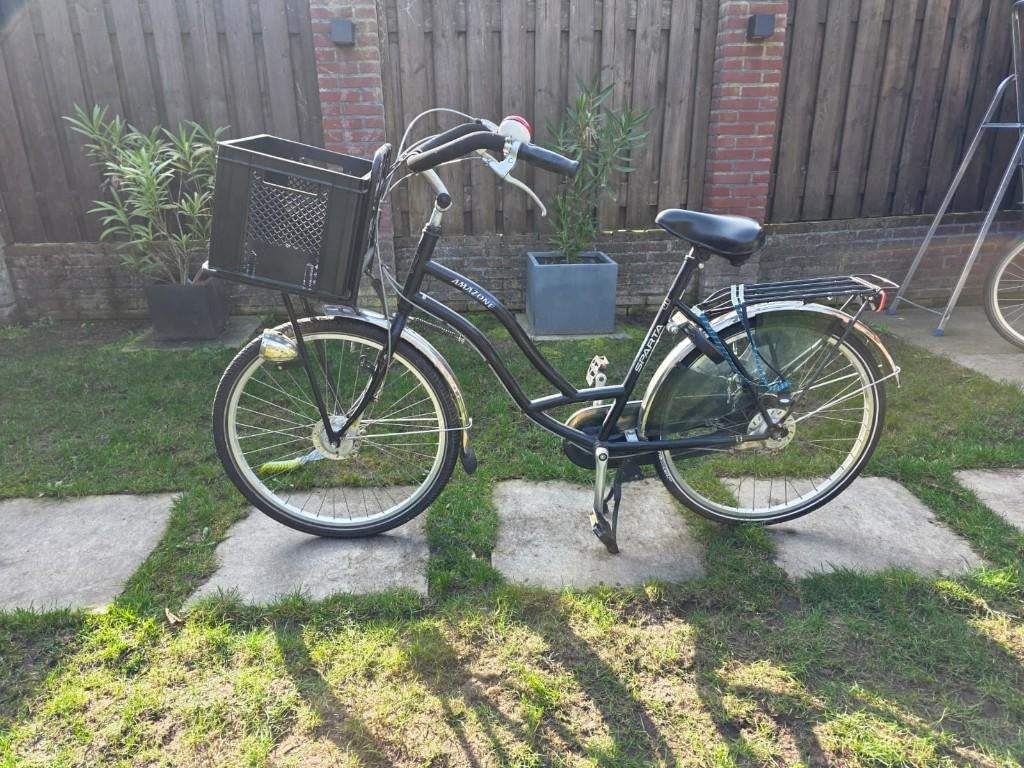 Sparte Amazone Omafiets met mand, Fietsen en Brommers, Ophalen, Sparta, Versnellingen, 53 tot 56 cm