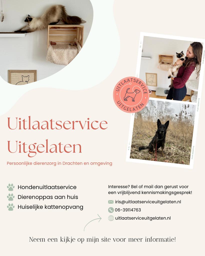 Dierenoppas en huiselijke kattenopvang, Januari, Meerdere dieren