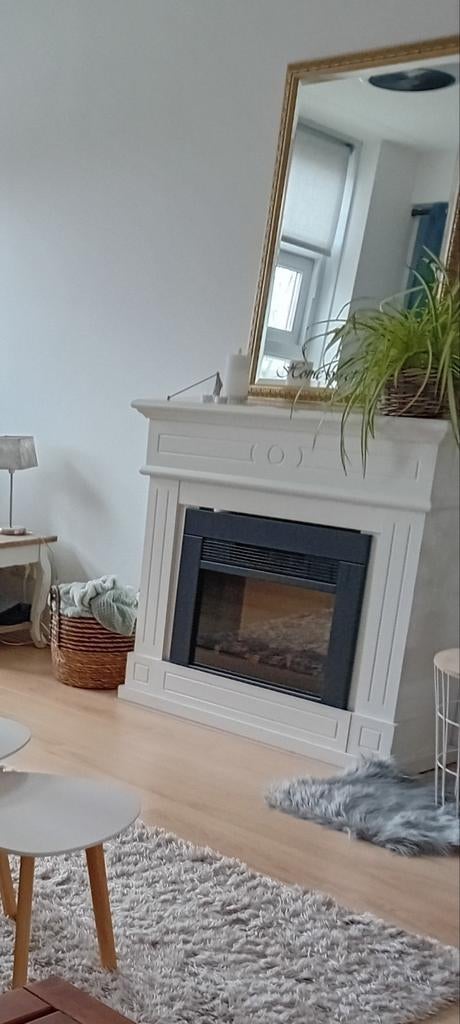 Electrische sfeerhaard, Ophalen of Verzenden, Vrijstaande haard, Elektrische haard