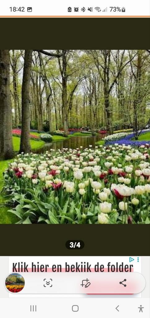 Keukenhof 2026 kaartjes, Ophalen of Verzenden, Overige soorten, Volle zon