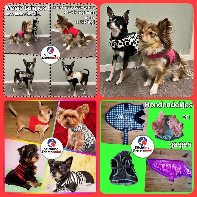 Hondenjasje, truitje, dekje, tuigje en andere artikelen hond, Dieren en Toebehoren, Ophalen of Verzenden, Nieuw, Overige hondenkleding