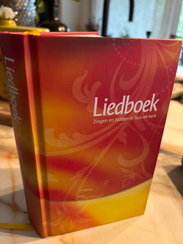 LIEDBOEK ZINGEN EN BIDDEN IN HUIS EN KERK 2013 ( zie foto’s), Boeken, Ophalen of Verzenden, Zo goed als nieuw, Christendom | Katholiek