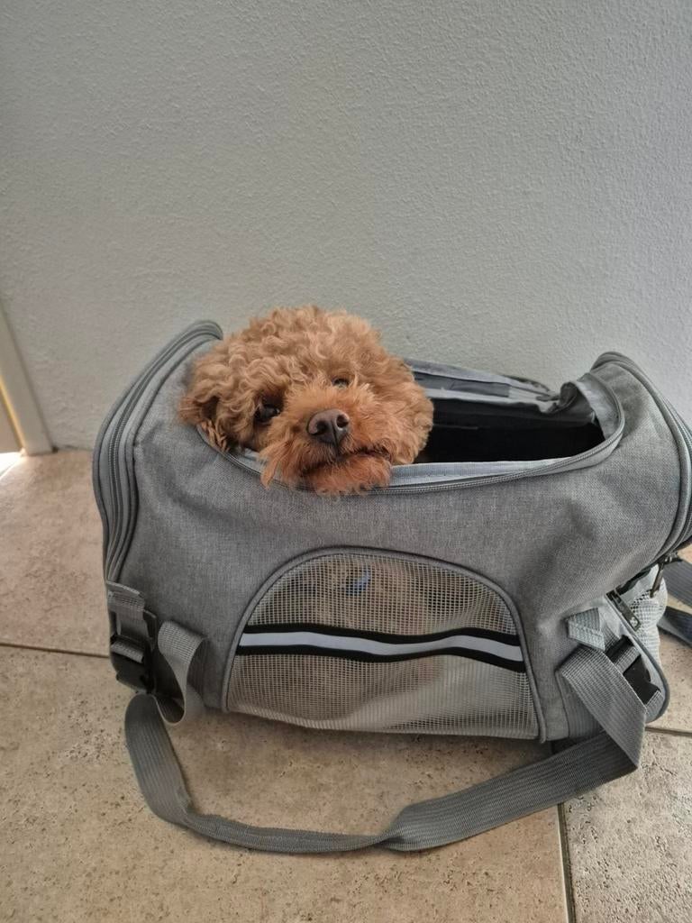 Huisdierenreis tas  / draagtas, Dieren en Toebehoren, Ophalen of Verzenden, Zo goed als nieuw