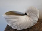 Hip woonobject en mooie schelpvaas gezien bij vt-wonen!, Huis en Inrichting, Woonaccessoires | Vazen, Ophalen, Overige kleuren