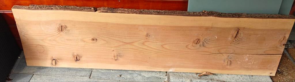 Gratis plank boomstam, Doe-het-zelf en Verbouw, Hout en Planken, Ophalen