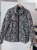 Geisha dames jas met luipaardprint - Maat XL, Kleding | Dames, Jassen | Winter, Overige kleuren, Geisha, Maat 46/48 (XL) of groter