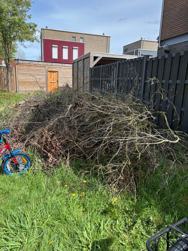 Takken/boom afval/brandhout, Tuin en Terras, Ophalen, Zo goed als nieuw, Minder dan 10 meter