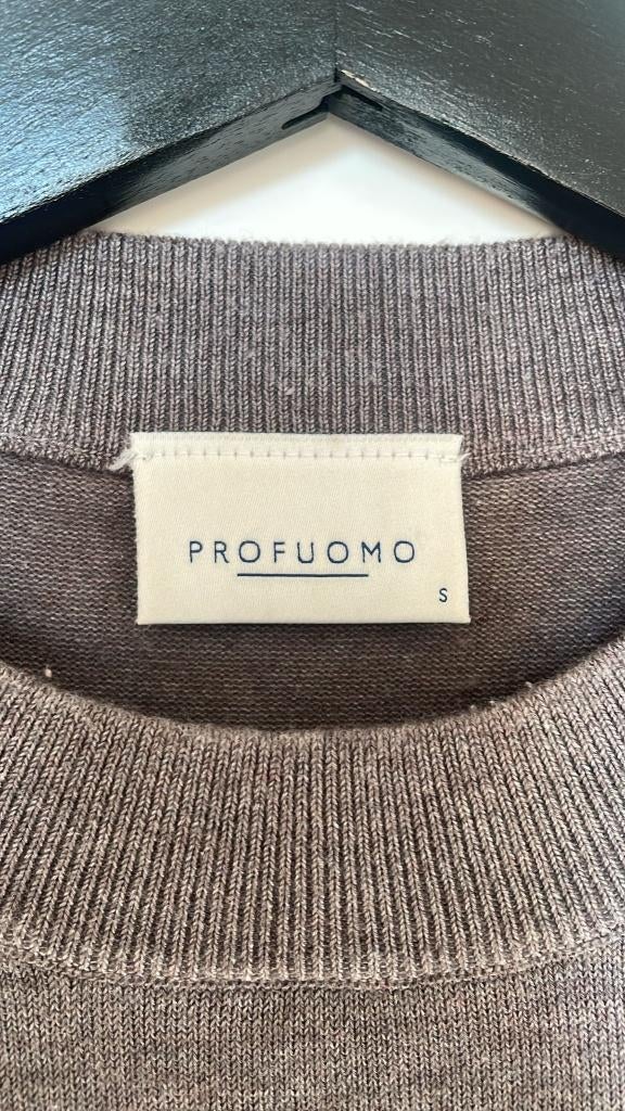 Trui Profueomo, Bruin, Ophalen of Verzenden, Maat 46 (S) of kleiner, Profuomo