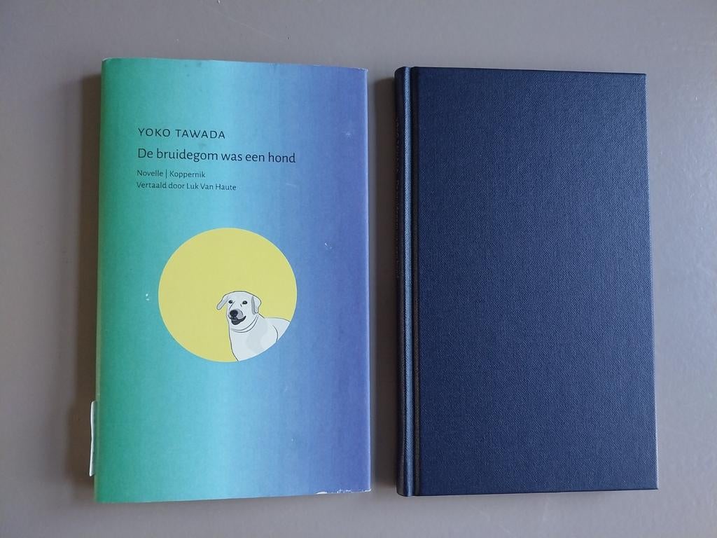 Yoko Tawada - De bruidegom was een hond (gebonden), Boeken, Ophalen of Verzenden, Gelezen, Wereld overig
