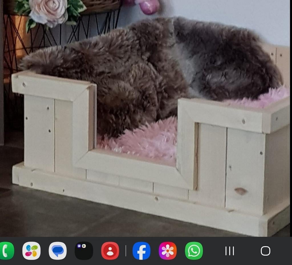 WERPKIST VOOR KLEINE TOT MIDDELGROTE HOND, Dieren en Toebehoren, Hondenmanden, Ophalen, Overige