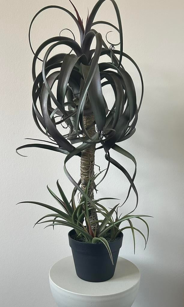 Kunstplant intratuin, Binnen, Groen, Kunstplant, Ophalen of Verzenden