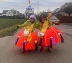 Carnaval loopgroep duo, Ophalen, Zo goed als nieuw, Carnaval