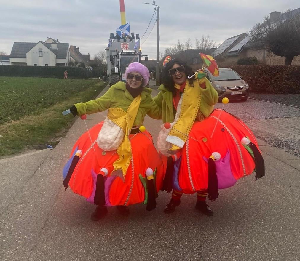 Carnaval loopgroep duo, Kleding | Dames, Carnavalskleding en Feestkleding, Zo goed als nieuw, Carnaval, Ophalen