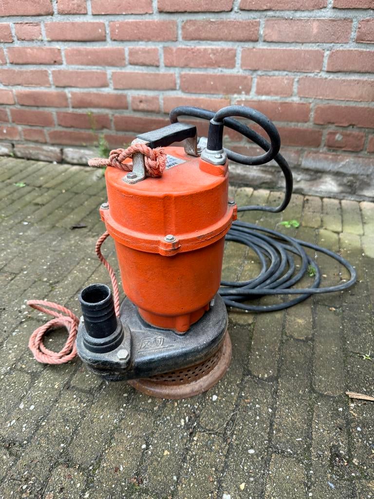 Dompelpomp 145 liter/minuut - 250W, 220V, Tuin en Terras, Waterpompen, Ophalen, Gebruikt, Elektrisch, Dompelpomp