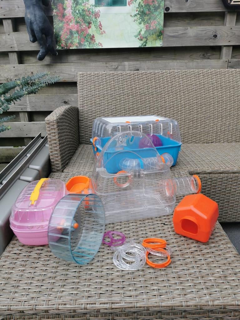 Knaagdier hok hamster, Minder dan 75 cm, Ophalen, Minder dan 60 cm, Hok