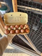 Broedeieren Bleu de Landes, Dieren en Toebehoren, Ophalen, Zo goed als nieuw, Overige typen