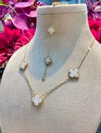 14k Gouden Witte Klaver Set, Nieuw, Verstelbaar, Ophalen of Verzenden, Goud