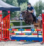 Fijne afgericht D pony merrie!, Merrie, Springpony, 7 tot 10 jaar, D pony (1.37m tot 1.48m)