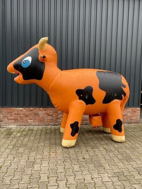 Ranja koe, Ophalen, Gebruikt, Overige