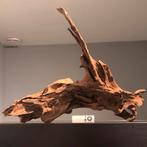 Uniek stuk Kienhout / Driftwood / Spiderwood, Hout Decoratie, Ophalen of Verzenden, Zo goed als nieuw, Plant(en), Steen of Hout