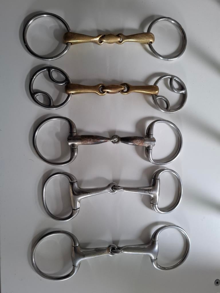 Verschillende bitten, Dieren en Toebehoren, Ophalen of Verzenden, Overige soorten