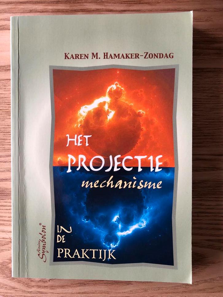 Het Projectiemechanisme in de Praktijk - Karen M. Hamaker-Zo, Boeken, Psychologie, Zo goed als nieuw, Klinische psychologie, Ophalen of Verzenden