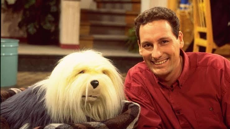 Samson en gert seizoen 1-18, Ophalen of Verzenden, Zo goed als nieuw, Foto of Kaart