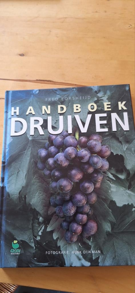F. Lorsheijd - Handboek druiven, Boeken, F. Lorsheijd, Ophalen of Verzenden, Zo goed als nieuw, Interieur en Design