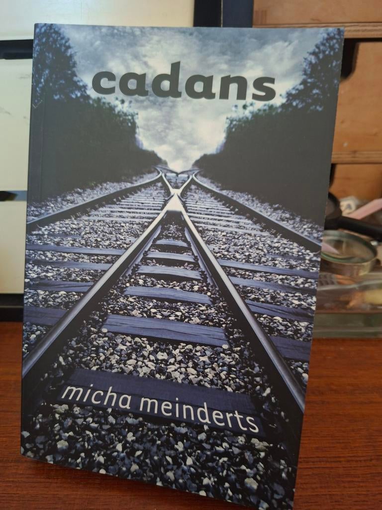 Micha Meinderts - Cadans   gay roman, Verzenden, Zo goed als nieuw, Micha Meinderts