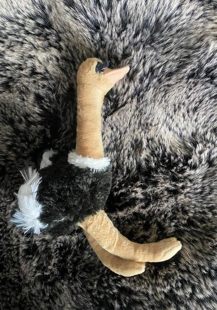 Struisvogel / nieuw !, Verzenden, Overige typen, Nieuw, Met label