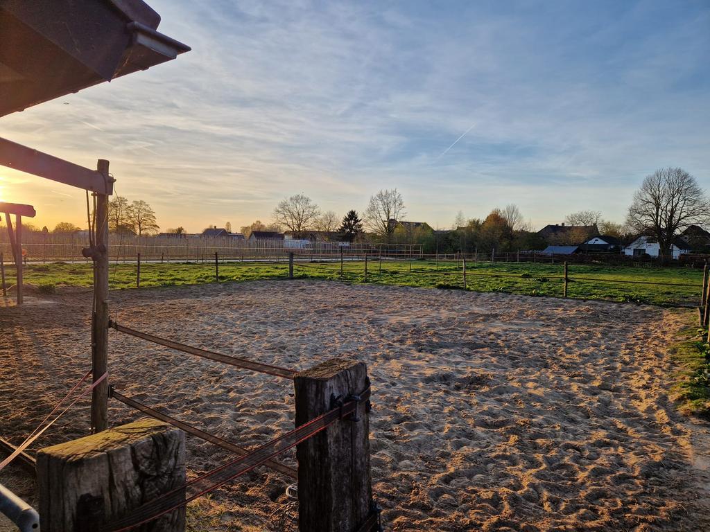 2 plekken vrij op pensionstal in Lienden, Dieren en Toebehoren, Stalling en Weidegang