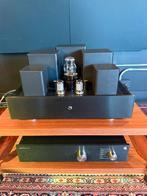 Buizenversterker set Dion Audio voor & eind combinatie, Ophalen of Verzenden, Versterker