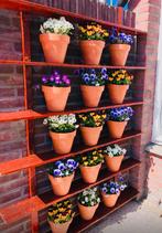 terracotta potten, Ophalen, Gebruikt, Rond, Minder dan 40 cm