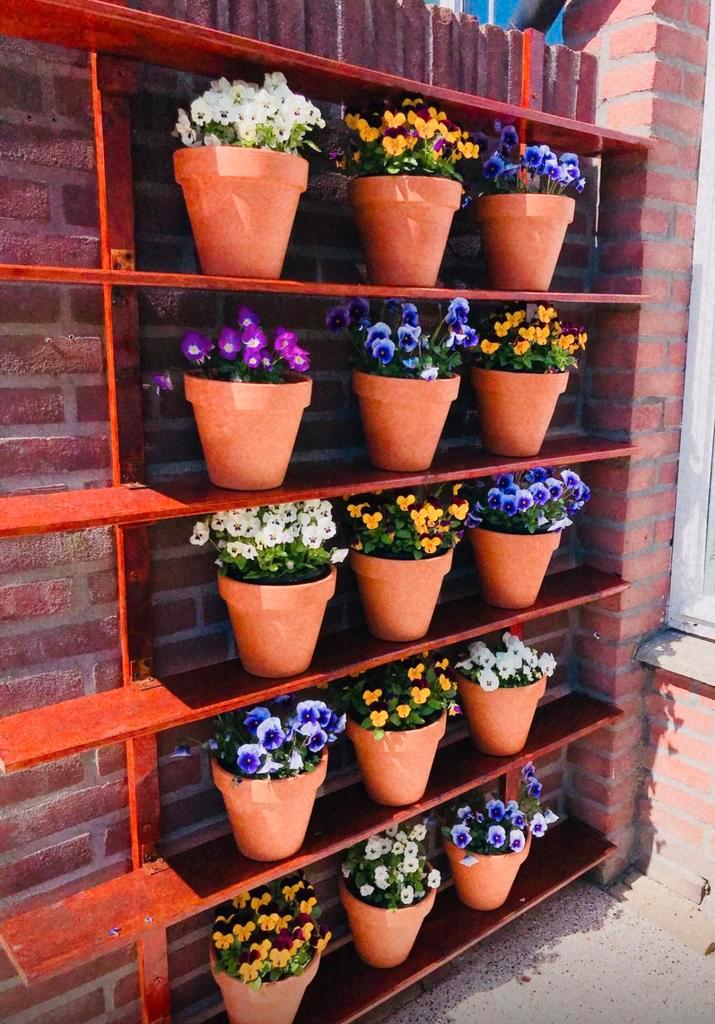 terracotta potten, Tuin en Terras, Bloempotten, Gebruikt, Minder dan 40 cm, Minder dan 25 cm, Rond, Ophalen