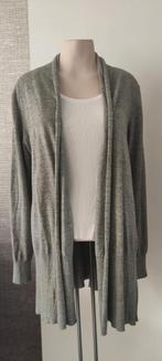 Vest Repeat, Kleding | Dames, Ophalen of Verzenden, Zo goed als nieuw, Maat 38/40 (M), Grijs