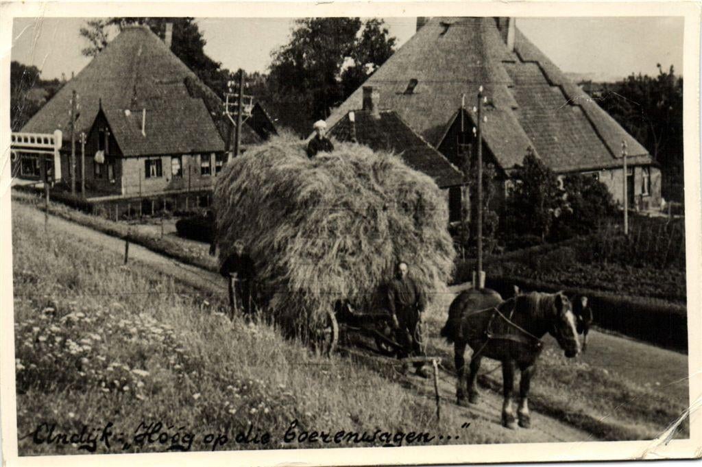 Andijk, Hoog op die boerenwagen - B-keus - 1955 gelopen, Ophalen of Verzenden, 1940 tot 1960, Gelopen, Gelderland