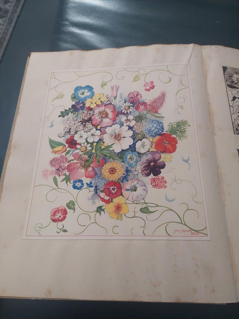 De Bloemen in onzen tuin  dr.  Jac P. Thijsse 1926, Boeken, Prentenboeken en Plaatjesalbums, Ophalen of Verzenden, Gelezen