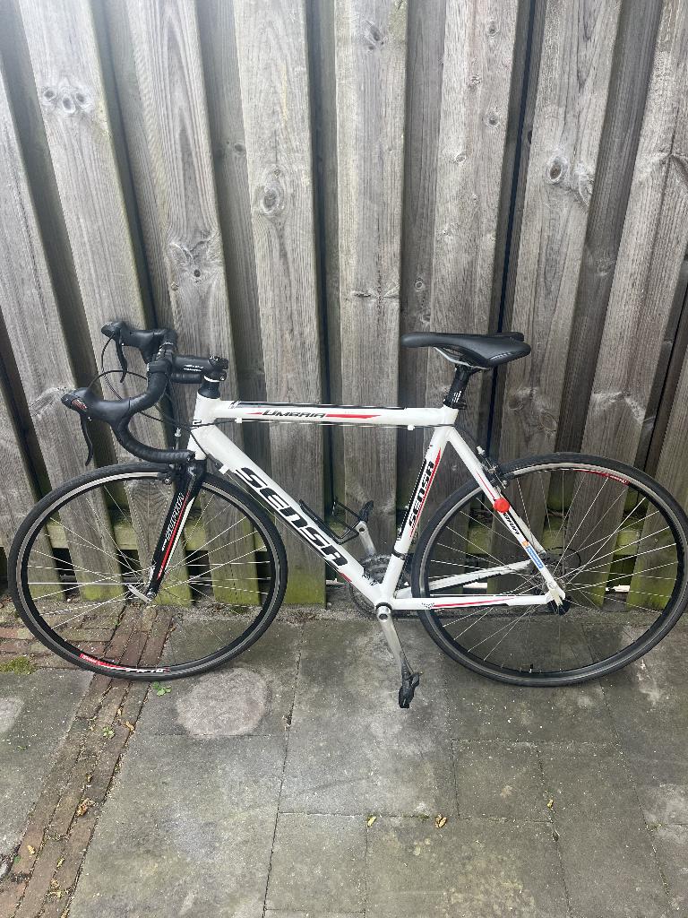 Sensa Umbria racefiets maat 56, 28 inch, Gebruikt, Aluminium, Dames