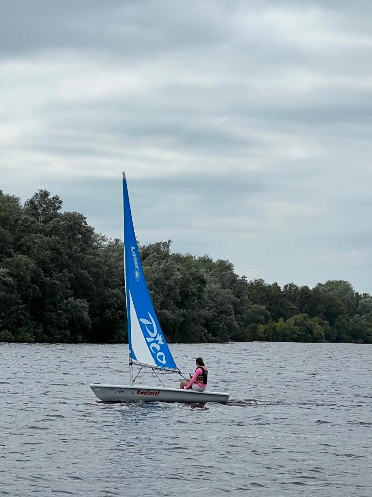 Laser pico zeilboot te koop, Watersport en Boten, Open zeilboten, Zo goed als nieuw, Laser, 3 tot 6 meter, Polyester, Geen motor