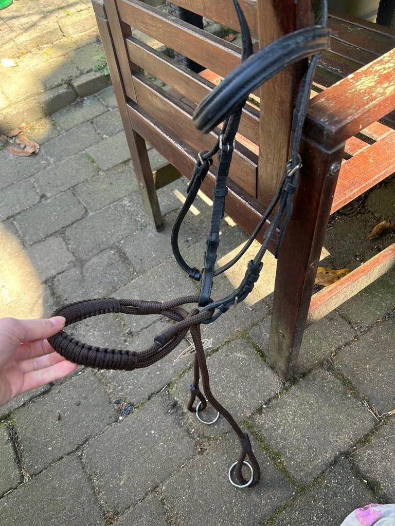 Leren hoofdstel met touwstuk, Ophalen, Zo goed als nieuw, Recreatie