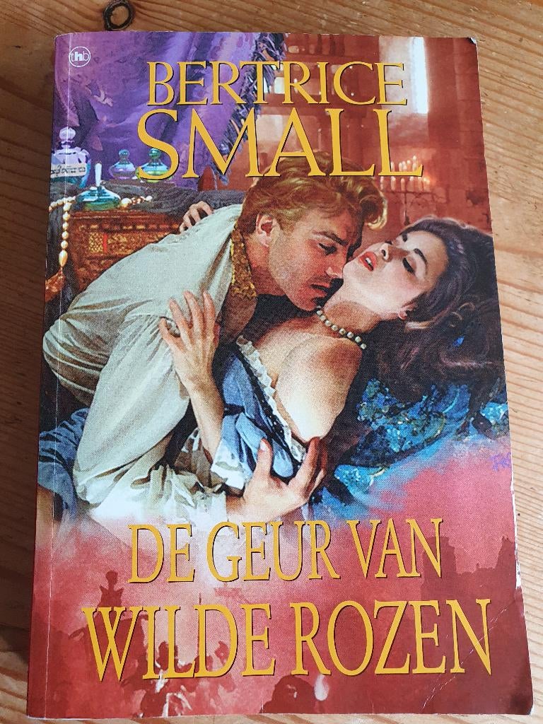 Spannende roman van Bertrice Small, Boeken, Ophalen of Verzenden, Zo goed als nieuw