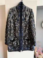 Roberto Sarto vest - Zwart, grijs en blauw, Kleding | Dames, Truien en Vesten, Ophalen of Verzenden, Gedragen, Maat 42/44 (L)