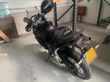 TRIUMPH 1050 TIGER I 44.000km I beschikbaar voor biedingen
