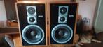 Magnat all ribbon 8p in goede staat., Audio, Tv en Foto, Luidsprekers, Ophalen, Gebruikt, Magnat, 120 watt of meer