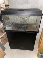 Juwel Aquarium met bijpassed onderkastje, Dieren en Toebehoren, Vissen | Aquaria en Toebehoren, Ophalen, Gebruikt, Leeg aquarium