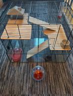 Hamsterhok glas luxe, Kooi, Gebruikt, Minder dan 75 cm, Hamster