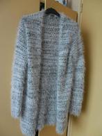 Nieuw warm dames vest. Maat M, Maat 38/40 (M), Nieuw, Ophalen of Verzenden, Grijs