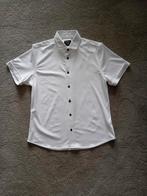 Stangata overhemd, Kleding | Heren, Nieuw, Halswijdte 43/44 (XL), Ophalen of Verzenden, Wit
