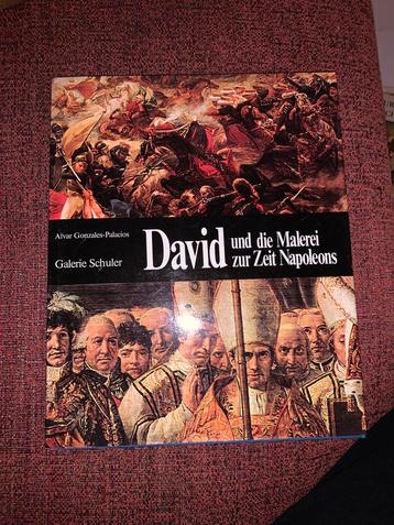 David en de schilderkunst ten tijde van Napoleon beschikbaar voor biedingen
