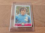 Wk Voetbal Platini Frankrijk, Ophalen of Verzenden, Zo goed als nieuw, Buitenlandse clubs, Poster, Plaatje of Sticker